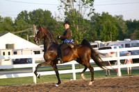 46.  ASB Five-Gaited Open