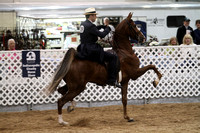 2012 Horse Shows, Photo Shoots, Events