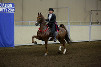 130-Western Canadian ASB 3 Gaited Championship
