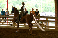 46-Saddle Seat Equitation 17 & Under
