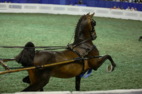 130. Amateur Ladies Hackney Pony