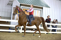 93.  Academy WT Equitation Championship Section1
