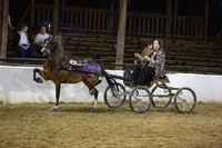 71.  Harness Pony Championship