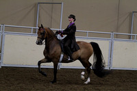 92-All Breed SS Equitation 11-13