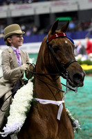 181-Equitation-WT 9 & 10 YO Championship