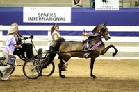 149-Harness Pony Championship