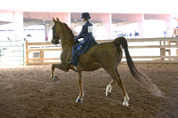 44-Pony Equitation WT 10 & Under