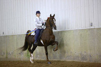 82.  ASB Limit Rider Country or Show Pleasure Championship