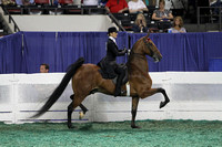 026.  Equitation - 16 Years Old