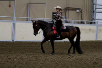 128-All Breeds Western Pleasure-Junior:Novice Horse
