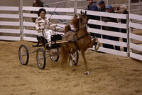 153.  Harness Pony Championship