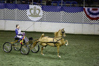 143.  Amateur Harness Pony National Championship