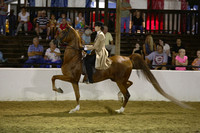 14.  ASB Adult 3Gt Country Pleasure Stake