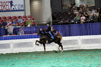 184-Two Year Old Three Gaited-Division 2