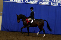 142-All Breed Hunt Seat Equitation Stake-Juvenile
