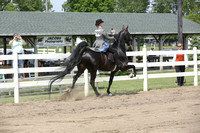 082.  ASB Five-Gaited Amateur Stake