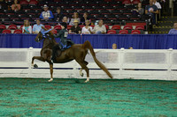 114.  Adult 3Gt Country Pleasure-Div 1