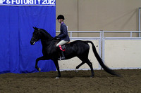 92-Morgan Hunter Pleasure-Junior:Novice Horse