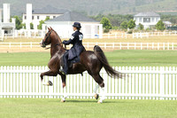 Paarl12-0585