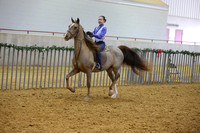 63-Academy WTC Equitation Maiden Rider Junior Exhibitor