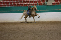 40.  ASB Open Five-Gaited