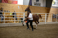 42. MN Open Yearling Futurity Championship