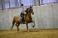 52-Academy WTC Equitation Limit Rider Junior Exhibitor
