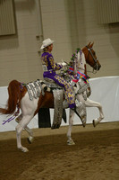 125.  ASB Parade Horse Championship