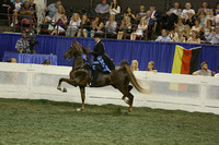 169.  Three-Year-Old Five-Gaited Mares