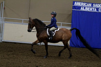 57A-All Breed-WT Equitation