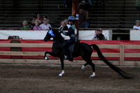 23-Road Pony Under Saddle
