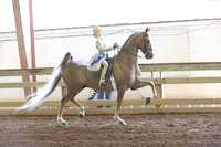 43-WT Saddle Seat Equitation 10 & Under