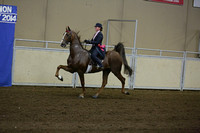 65-ASB Five Gaited Open