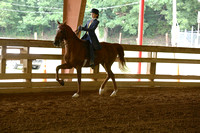 42-Pony Equitation WT 12 & Under