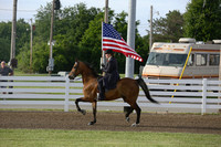 0-Flag horse