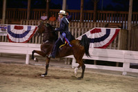 19-3 Year Old Five Gaited