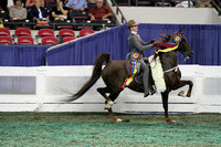 193-Juvenile Country Pleasure 13 & Under Championship