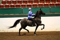 112-Road Horse Under Saddle Championship