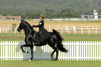 Paarl12-0693