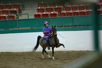 108.  Road Pony Under Saddle Championship]