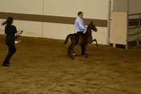 136.  HHF Weanling Stallion