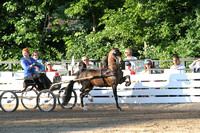 40-Amateur Harness Pony