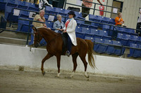 36.  AOT Mares-Geldings Country Trail Pleasure