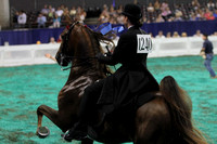 177-Two Year Old Three Gaited-Division 1