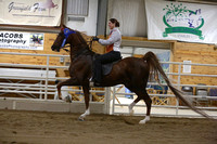 52.  Academy Equitation-14&over-SS-HS