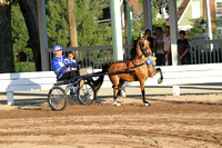46-Amateur Road Pony
