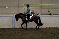 35-Andalusian Dressage Suitability