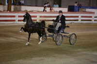81.  Harness Pony Championship