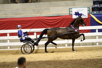 165-Road Horse Championship