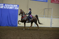134-Western Canadian ASB 5 Gaited Open Championship